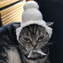 猫のぬいぐるみ 帽子と眼鏡付き SKZOO対応きつねさんニット帽【ぬいぐるみ帽子・ぬいぐるみ用