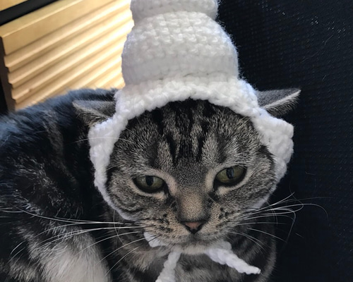 0_e6dbc85d48590c87321719f7f14a