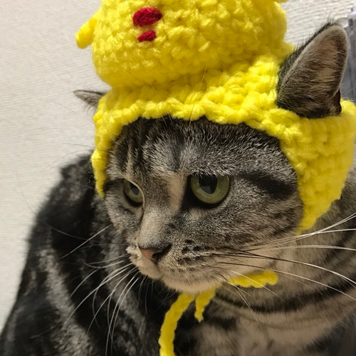 猫用帽子 ひよこ おもちゃ・ペット小物 misato 通販 3048887