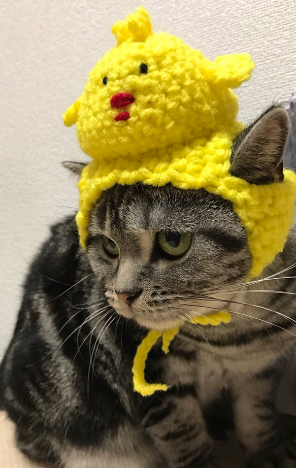ビレロイ&ボッホ　ベネディクトオートモービル　帽子猫 楽天市場】刺繍キャップ ベーシックエンチ Basiquenti リバー
