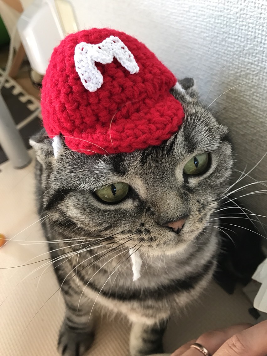 ペタペタぶさネコキャップ yukiemon