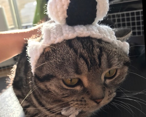 銘仙 アンティーク 着物 仔猫 猫 ネコ 家 おむすび おにぎり 銘仙 アンティーク 着物 仔猫 猫 ネコ 家 おむすび おにぎり