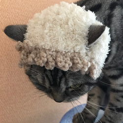 猫用帽子 羊風もふもふ 2枚目の画像