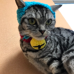 yukiemon ペタペタぶさネコキャップ 猫用帽子 鈴付き おもちゃ・ペット小物 misato 通販 3229611