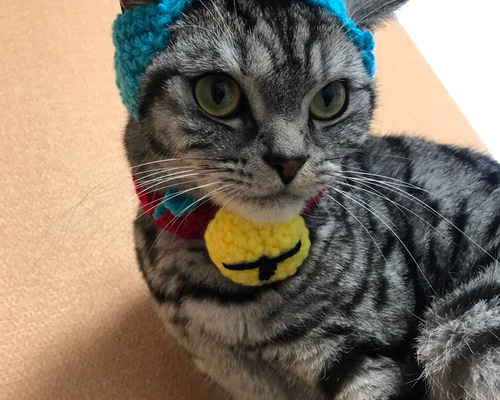 再値下げ〉キッズ【NEEDLE WORKS】 ねこ刺繍ギャバCAP 〈2123209