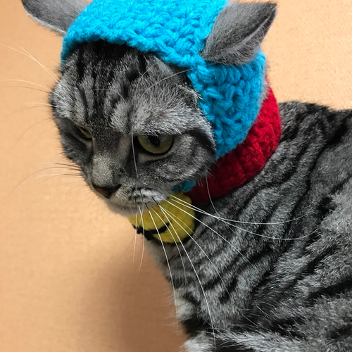 猫用帽子 鈴付き おもちゃ・ペット小物 misato 通販 3229611