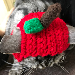 猫用帽子 りんご 3枚目の画像