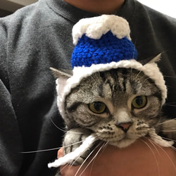 猫用帽子 富士山 1枚目の画像