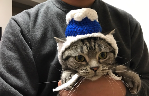 猫用帽子 富士山 1枚目の画像