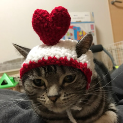 猫用帽子 バレンタイン２ 1枚目の画像