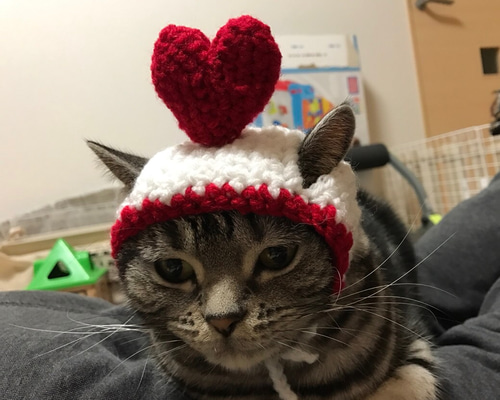 ❤オーダー受付❤️可愛いみつばち猫ちゃん❤️