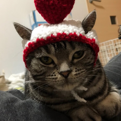 猫用帽子 バレンタイン２ 3枚目の画像