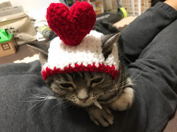 猫用帽子 バレンタイン２ 4枚目の画像