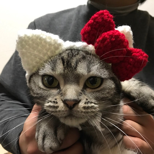 猫用帽子 なりきり おもちゃ・ペット小物 misato 通販 3326370