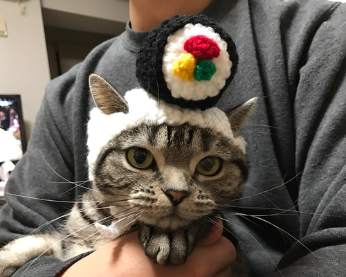 0_9106d8fc114a053c32043ab47bcd