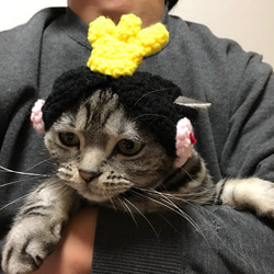 猫用帽子 お雛様 1枚目の画像