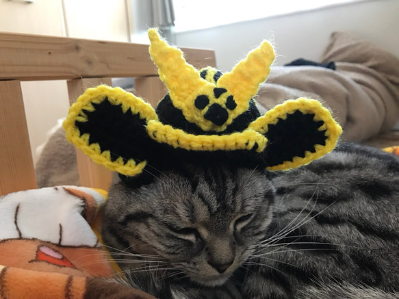 猫用帽子 兜 1枚目の画像