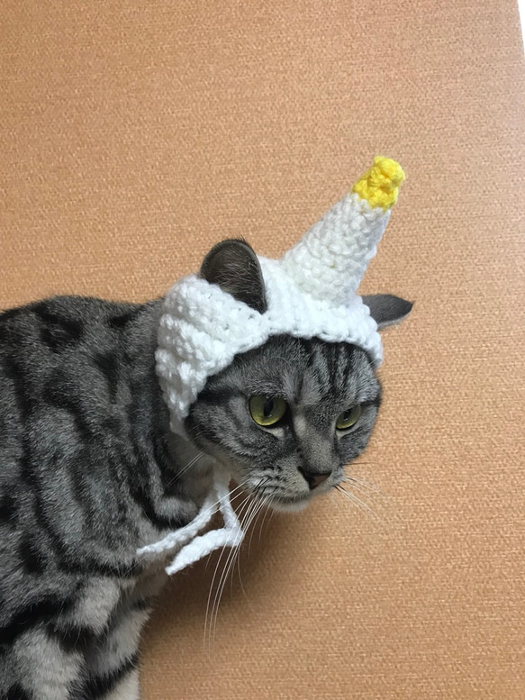 猫用帽子 ユニコーン 3枚目の画像