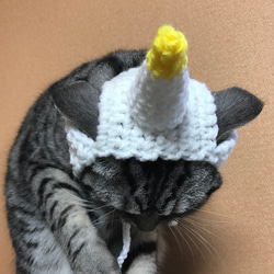 猫用帽子 ユニコーン 4枚目の画像