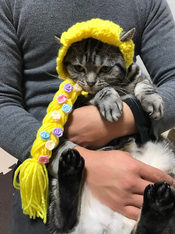猫用帽子 プリンセス 1枚目の画像