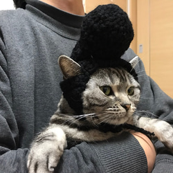 猫用帽子 リーゼント おもちゃ・ペット小物 misato 通販 3543154 