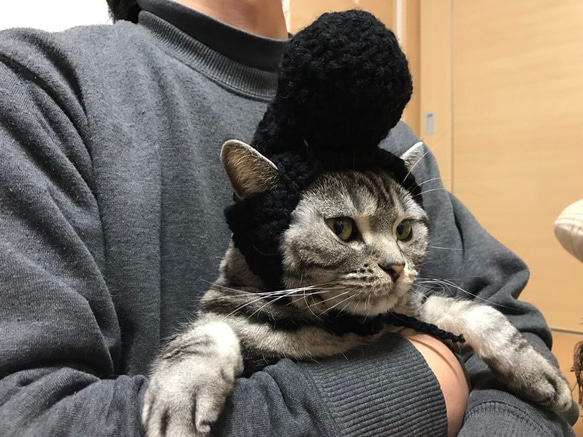 猫用帽子 リーゼント 1枚目の画像