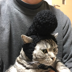 猫用帽子 リーゼント 4枚目の画像