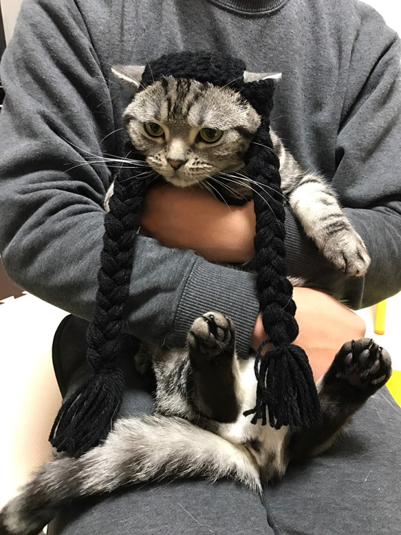 猫用帽子 おさげ おもちゃ・ペット小物 misato 通販 3549220