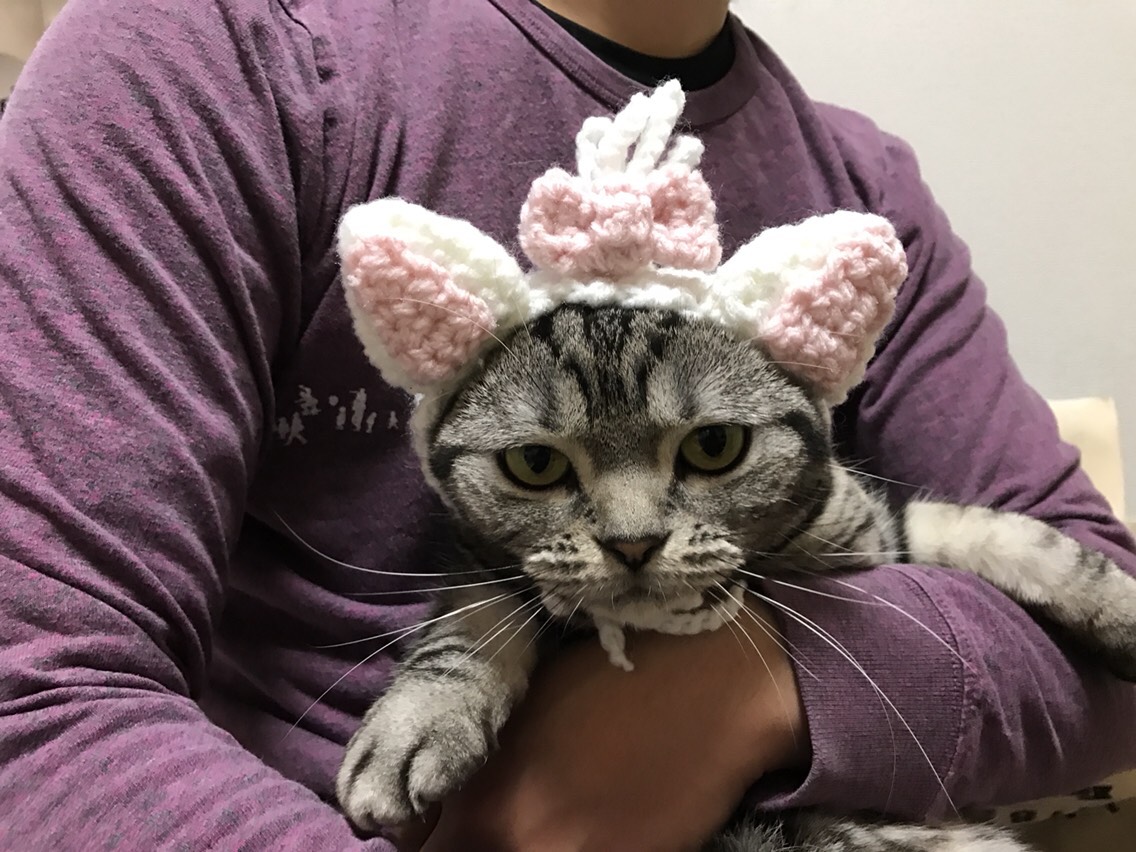 アバンセ　猫　ネコ　ぬいぐるみ　ピンクリボン　レトロ