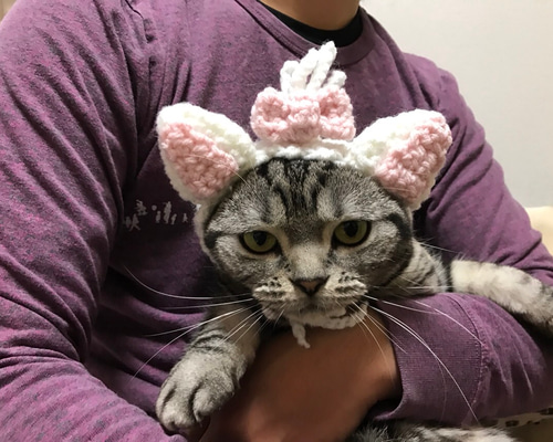 アバンセ　猫　ネコ　ぬいぐるみ　ピンクリボン　レトロ ぬいぐるみ 猫 プレゼント ピンクずきん 白猫 Lサイズ 大