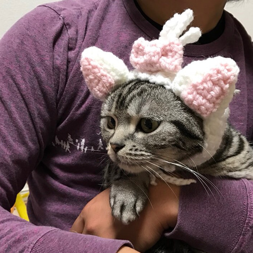 アバンセ　猫　ネコ　ぬいぐるみ　ピンクリボン　レトロ アバンセ 猫 ネコ ぬいぐるみ ピンクリボン レトロ