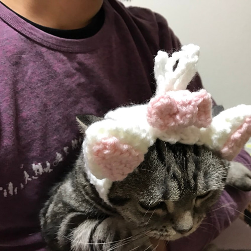 アバンセ　猫　ネコ　ぬいぐるみ　ピンクリボン　レトロ アバンセ 猫 ネコ ぬいぐるみ ピンクリボン レトロ 楽天市場