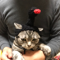 トイプードル限定❤︎オーダー受付ページ おもちゃ・ペット小物