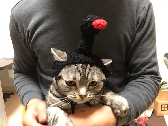 猫用帽子 ブラックスワン おもちゃ・ペット小物 misato 通販 3591966