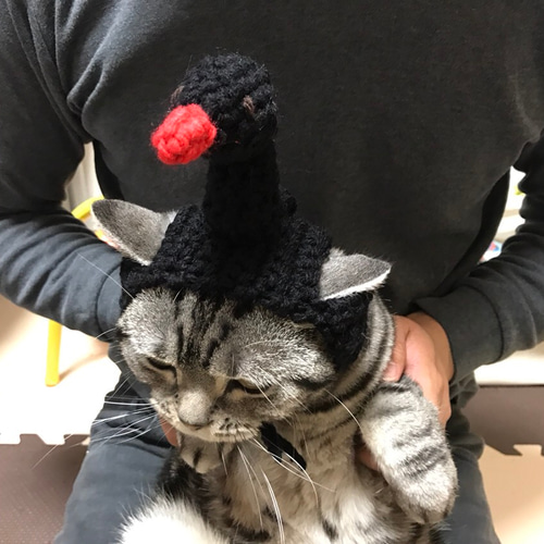 猫用帽子 ブラックスワン おもちゃ・ペット小物 misato 通販