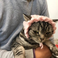 猫用帽子 桜 4枚目の画像