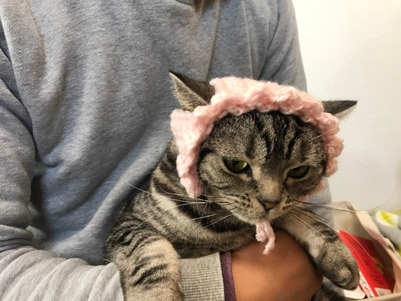 猫用帽子 桜 4枚目の画像
