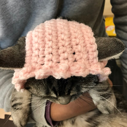 猫用帽子 桜 5枚目の画像