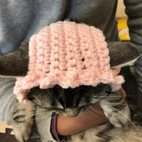 CAT CAP（猫帽子）子供用 - JUMPRIZE WEB SHOP