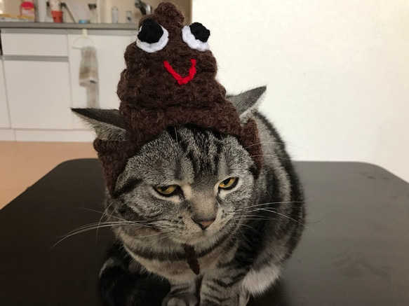 猫用帽子 う〇ちくん おもちゃ・ペット小物 misato 通販 3663672