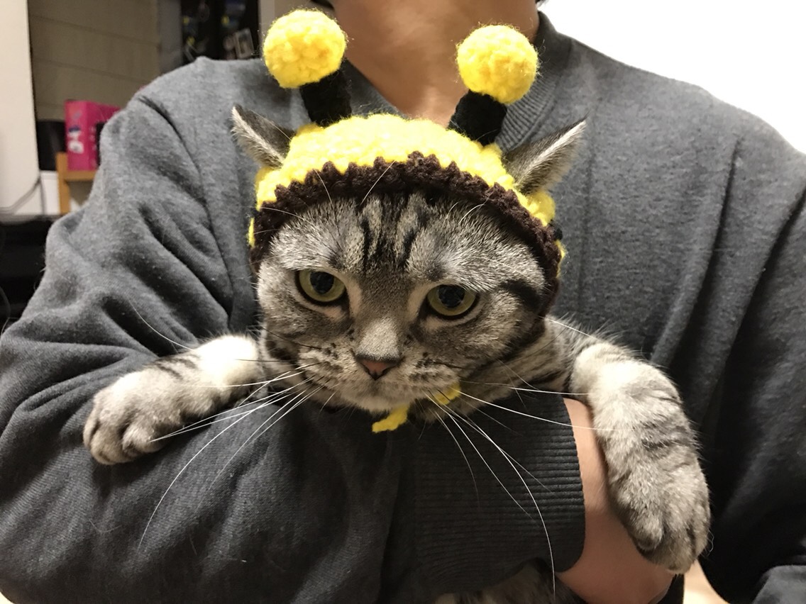 ねこハチ様専用 Happy-8 | 宮下銀座商店会｜茨城県水戸市