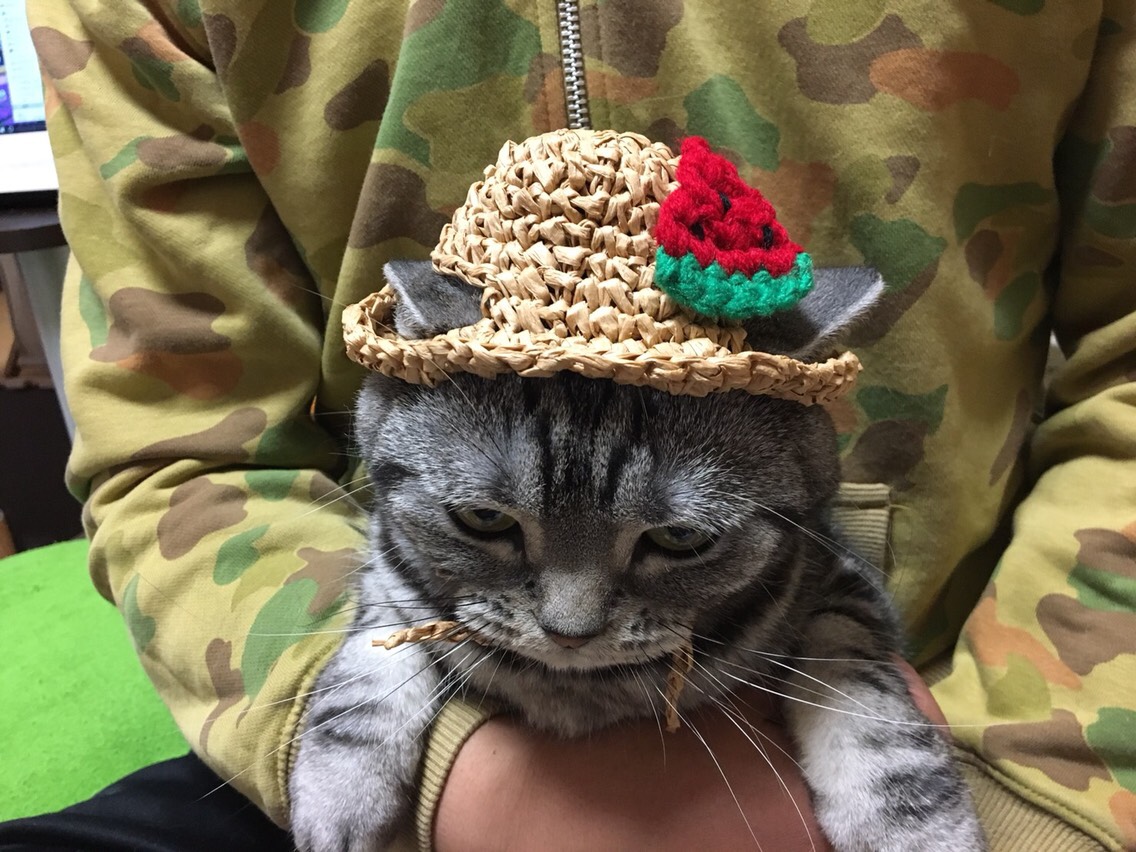 スイカと麦わら帽子 【1375】 【公式通販】