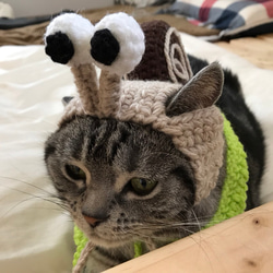 猫用 ケープ 帽子セット かたつむり 1枚目の画像