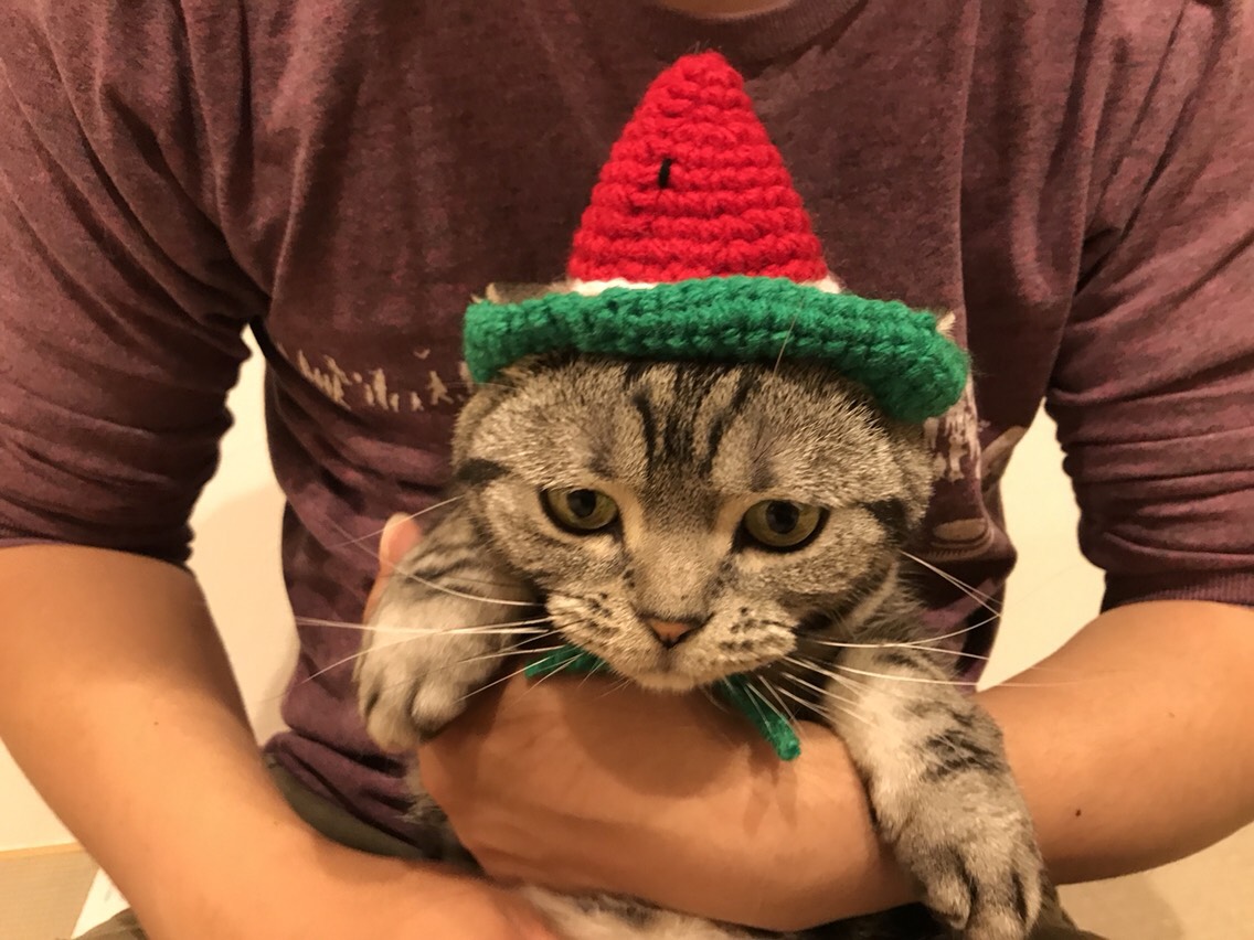 にゃんちページ スイカワンピース帽子セット にゃんちページ スイカワンピース帽子セット にゃんち様専用
