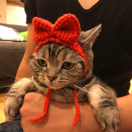猫ちゃんわんちゃん用首飾りマント風です。 ペット服