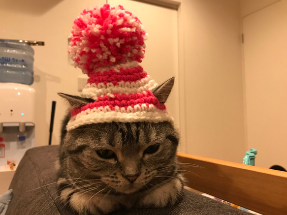 fairy.hat 作家帽子 猫 ポンポン 帽子 ハンドメイド 一点物 猫用帽子 ポンポンニット帽 ペット服・アクセサリー misato 通販