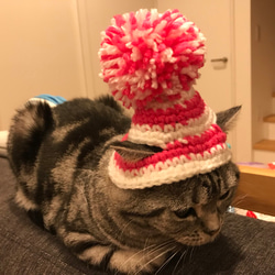 猫用帽子 ポンポンニット帽 2枚目の画像