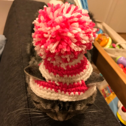 ニット帽　帽子　ねこ　レッド　新品未使用品 Amazon | [ケイ・ララ] ニット帽子 レディース ニット帽 猫耳
