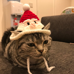 猫用帽子 サンタクロース ペット服・アクセサリー misato 通販 4698157