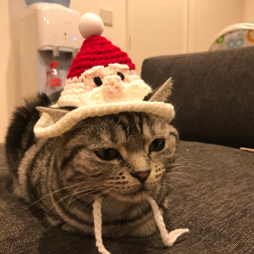 猫用帽子 クリスマスツリー ペット服・アクセサリー misato 通販